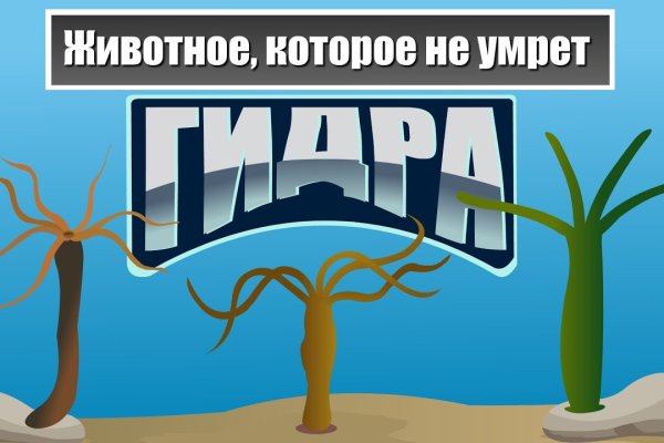 Ссылка на кракен тор kr2web in